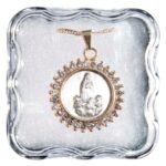 Fio c/Medalha Inox Folheada a Ouro