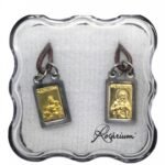 Escapulário em Inox Nª Srª do Carmo c/ Fio de Couro